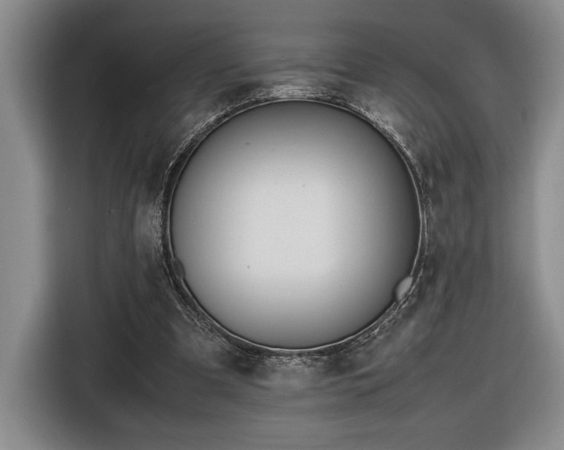 X0000116560297200912171415