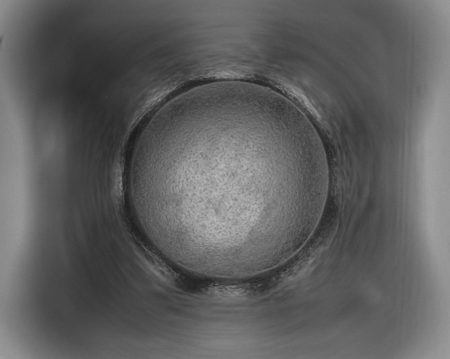 X0000116560299200912171415