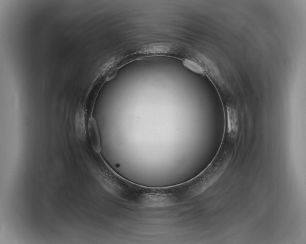 X0000116560300200912171415