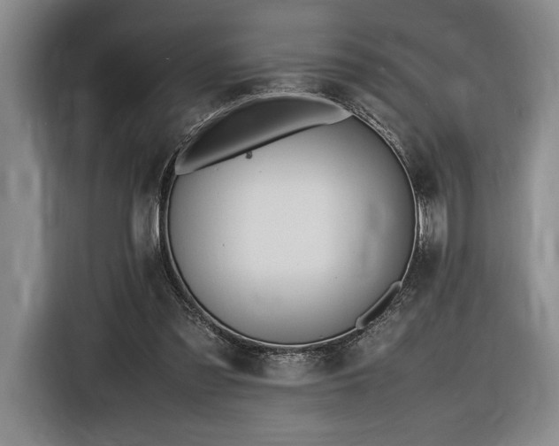 X0000116560301200912171415