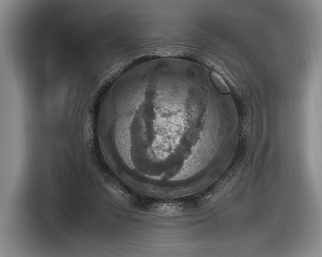 X0000116560303200912171415