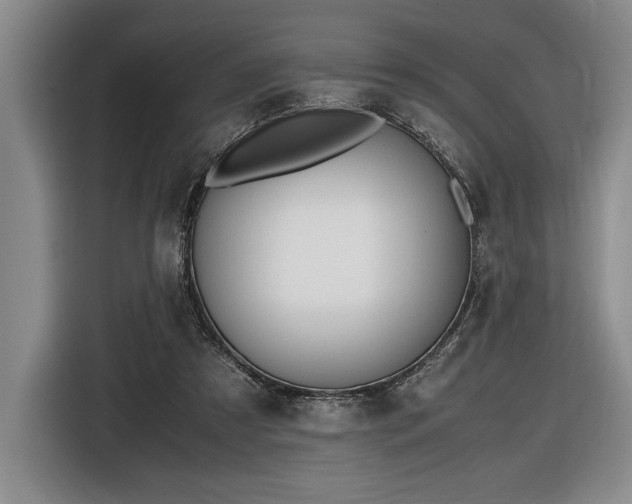 X0000116560305200912171415