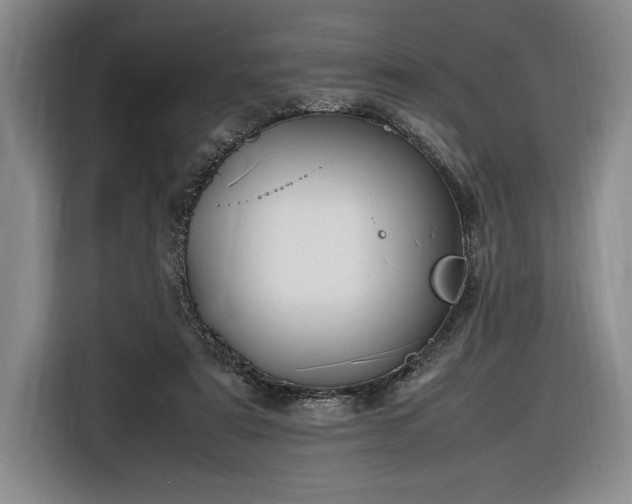 X0000116560307200912171415