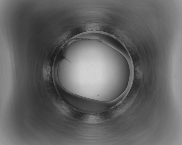 X0000116560308200912171415