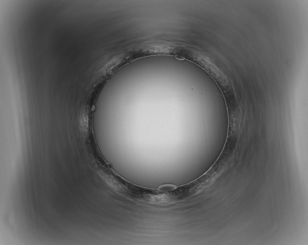 X0000116560309200912171415