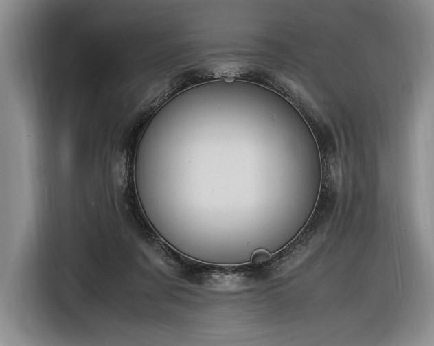 X0000116560311200912171415