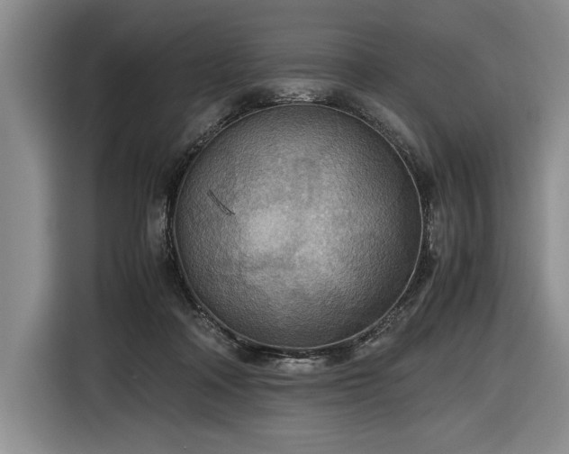 X0000116560314200912171415