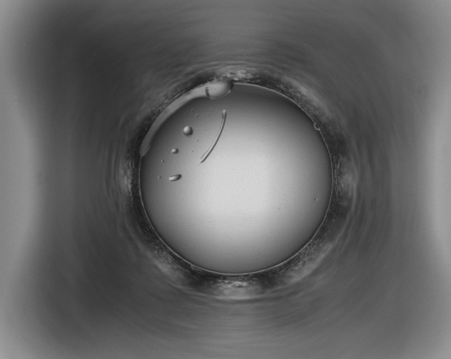 X0000116560315200912171415