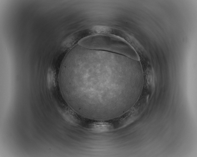 X0000116560316200912171415