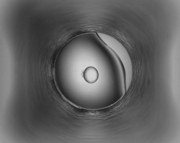 X0000116560317200912171415