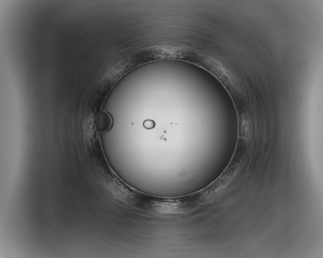 X0000116560318200912171415