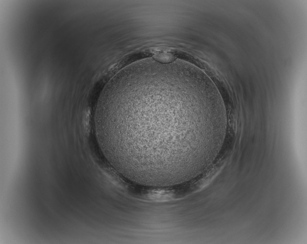 X0000116560319200912171415