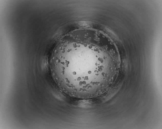 X0000116560320200912171415