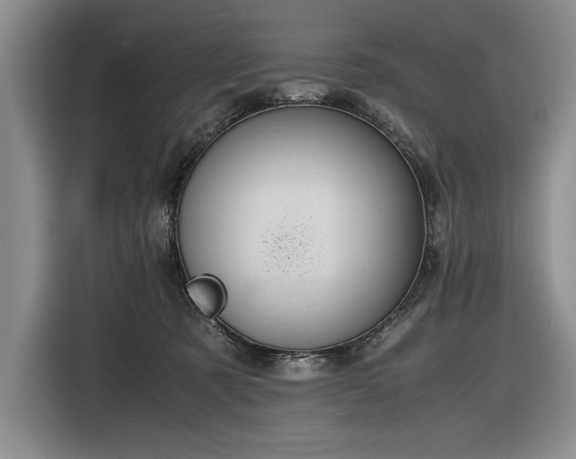 X0000116560321200912171415