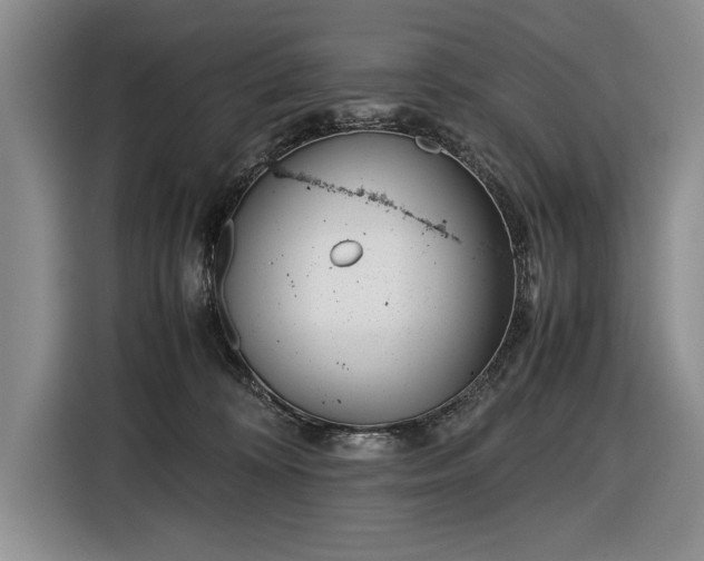 X0000116560324200912171415