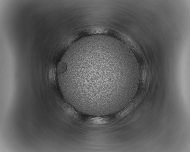 X0000116560326200912171415