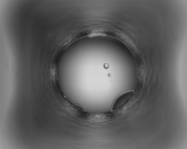 X0000116560329200912171415