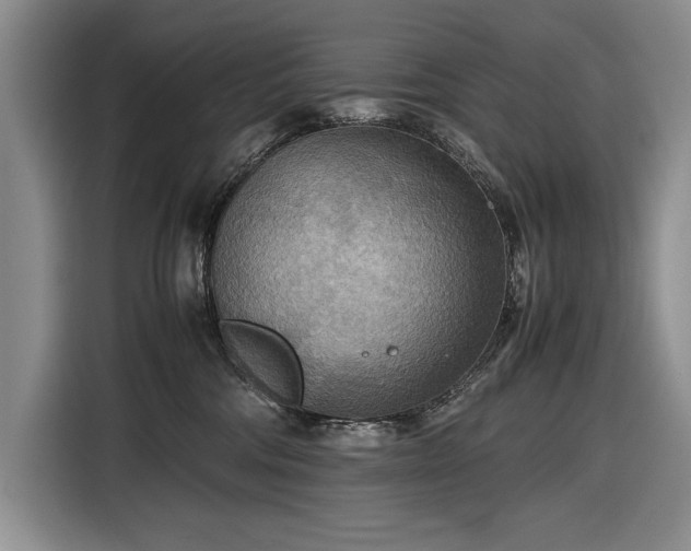 X0000116560330200912171414