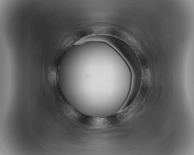 X0000116560333200912171414