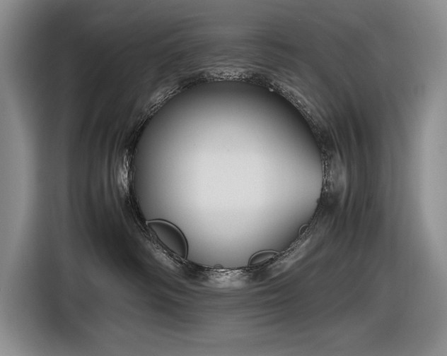 X0000116560334200912171414