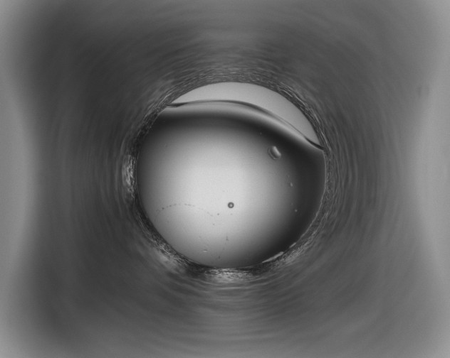 X0000116560336200912171414