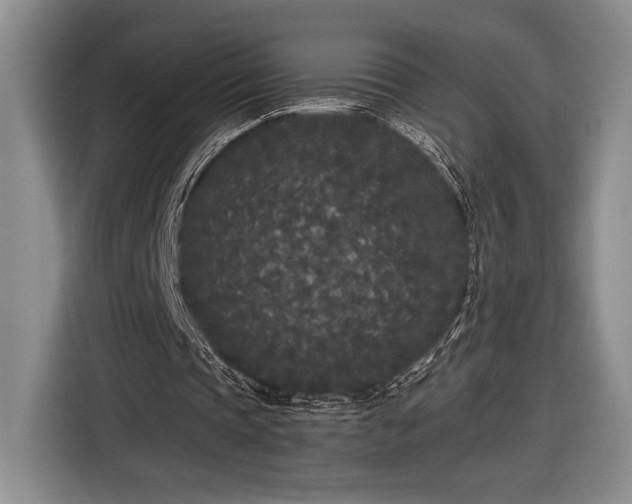 X0000116560337200912171414