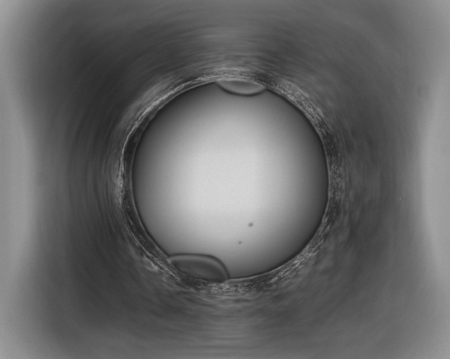 X0000116560338200912171414