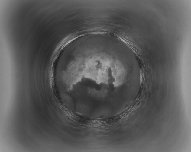 X0000116560339200912171414