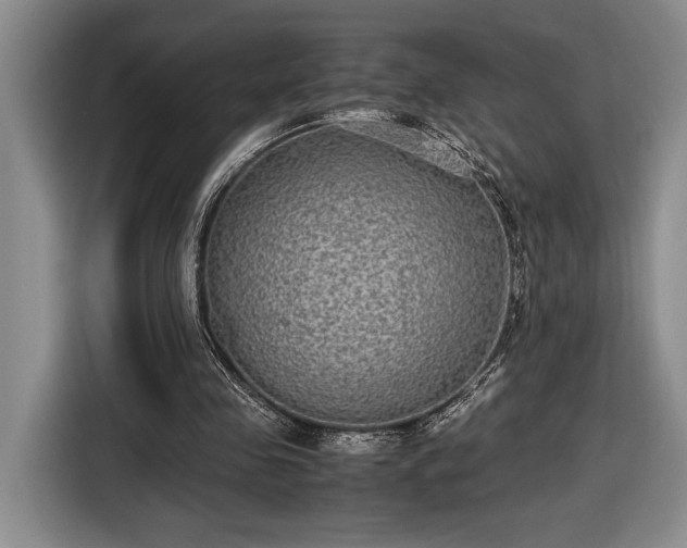 X0000116560341200912171414