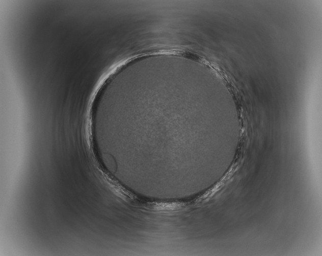 X0000116560342200912171414