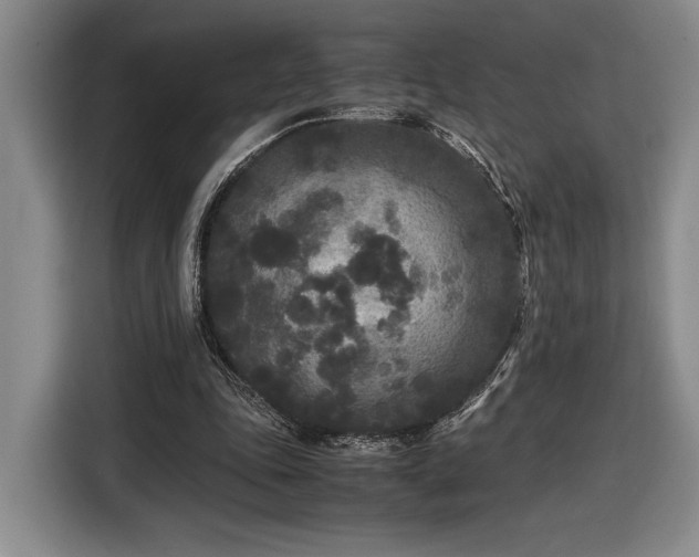 X0000116560343200912171414