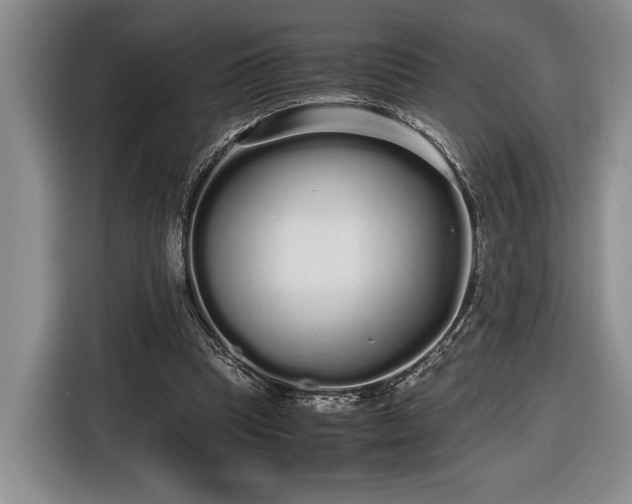 X0000116560345200912171414