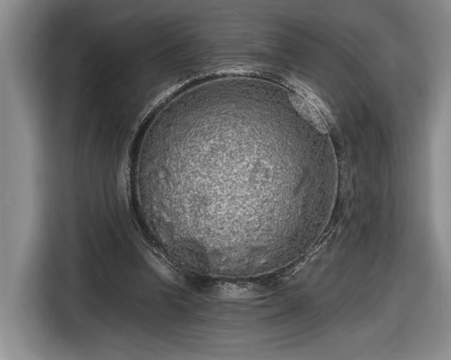 X0000116560346200912171414