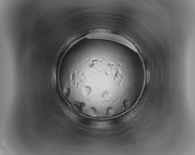 X0000116560349200912171414