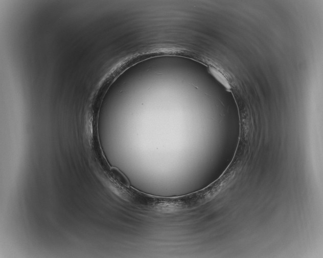 X0000116560350200912171414