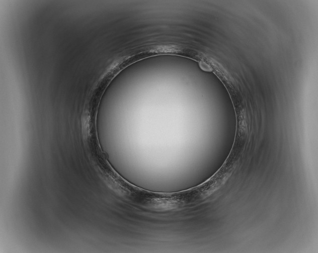 X0000116560351200912171414