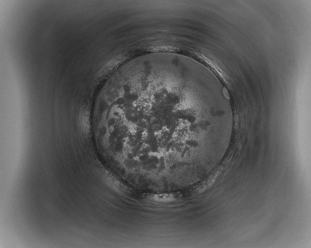 X0000116560353200912171414