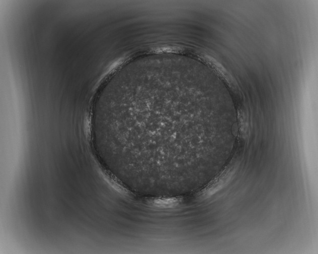 X0000116560357200912171414