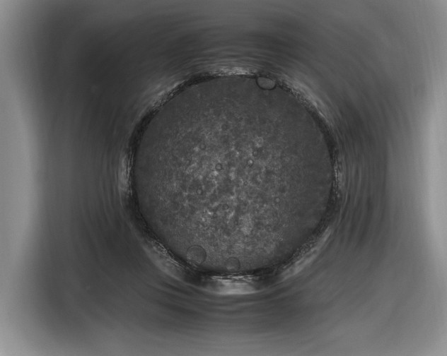 X0000116560359200912171414