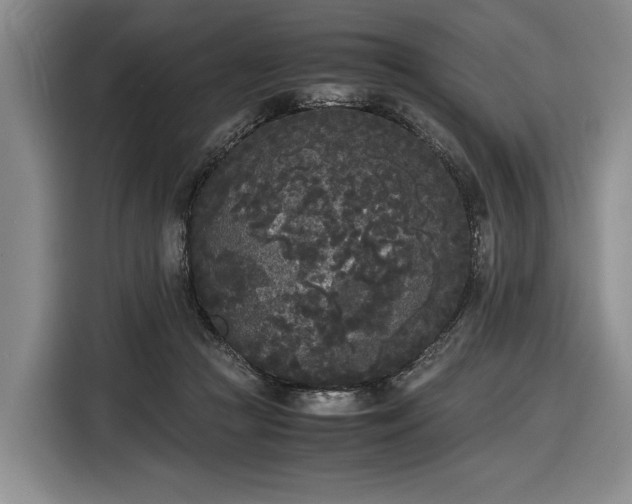 X0000116560361200912171414