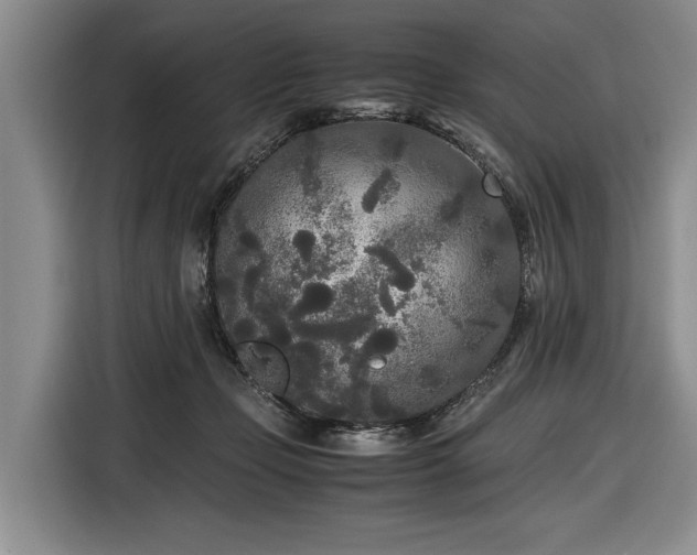 X0000116560365200912171414