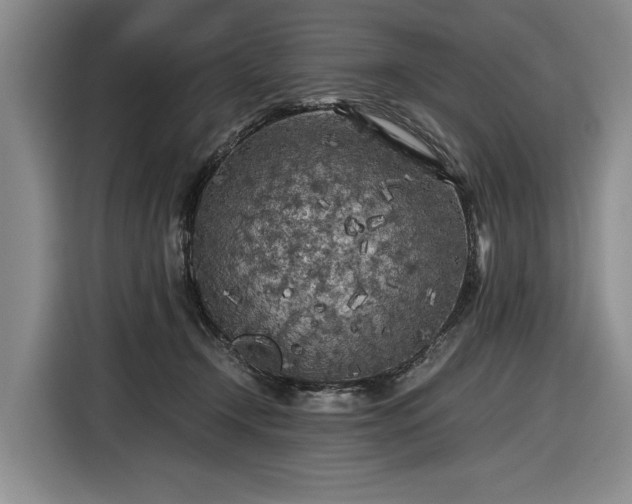 X0000116560366200912171414