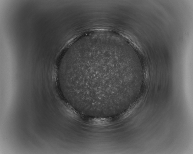 X0000116560367200912171414