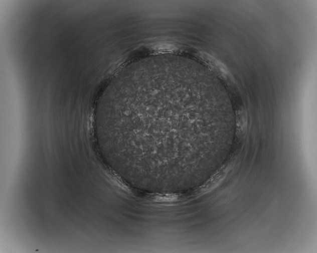 X0000116560369200912171414