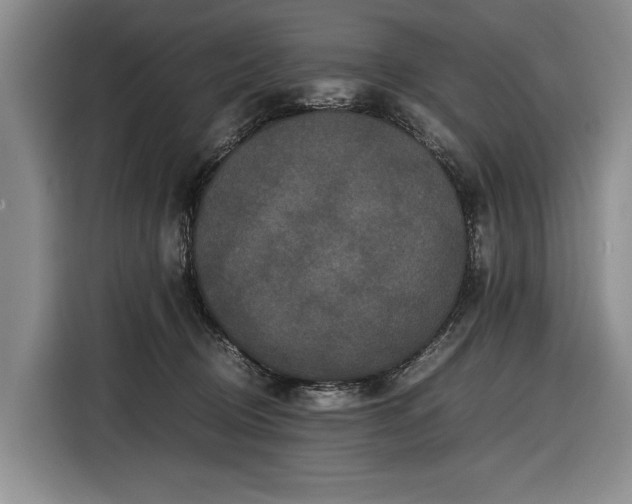 X0000116560370200912171414