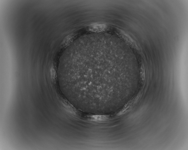 X0000116560371200912171414