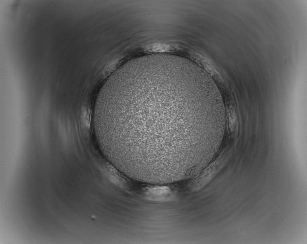 X0000116560374200912171414