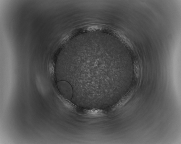 X0000116560375200912171414