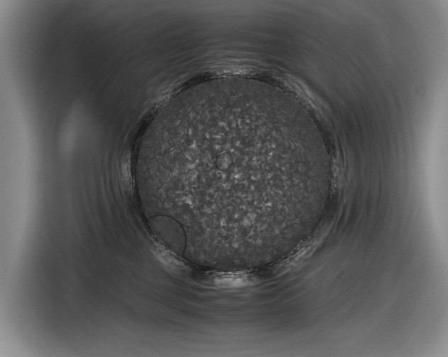 X0000116560377200912171414