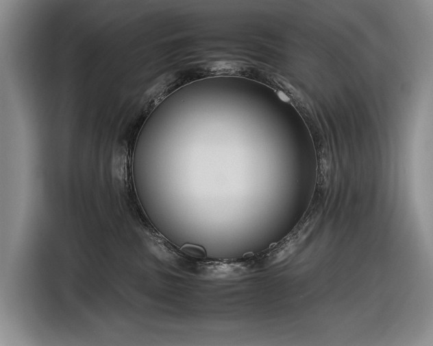 X0000116560379200912171414